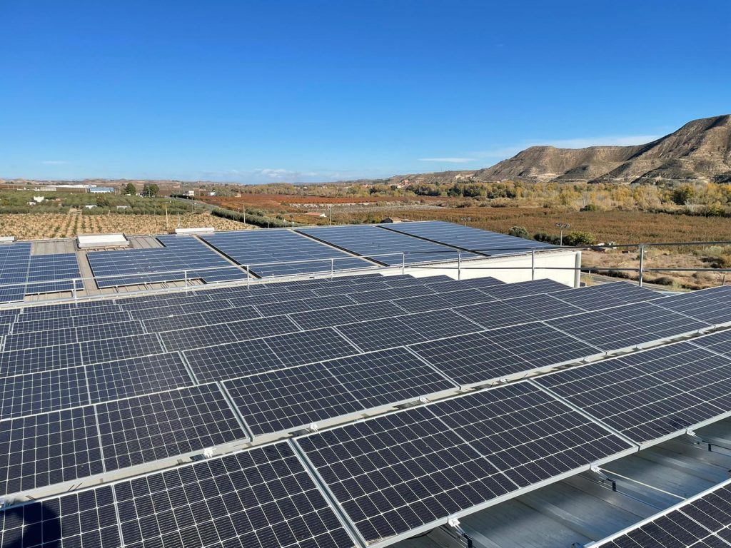 WhatsApp Image 2022-01-03 at 14.23.02 (14)