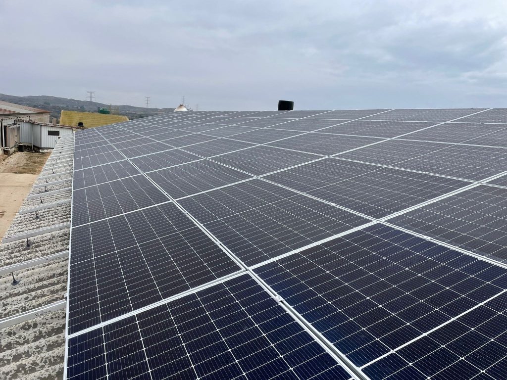 WhatsApp Image 2022-03-13 at 14.36.26